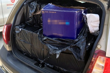 Hà Nội: Hơn 100 chai rượu lậu “ẩn mình” trong xế hộp