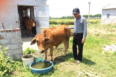 Vốn vay thoát nghèo chưa đủ để thoát nghèo