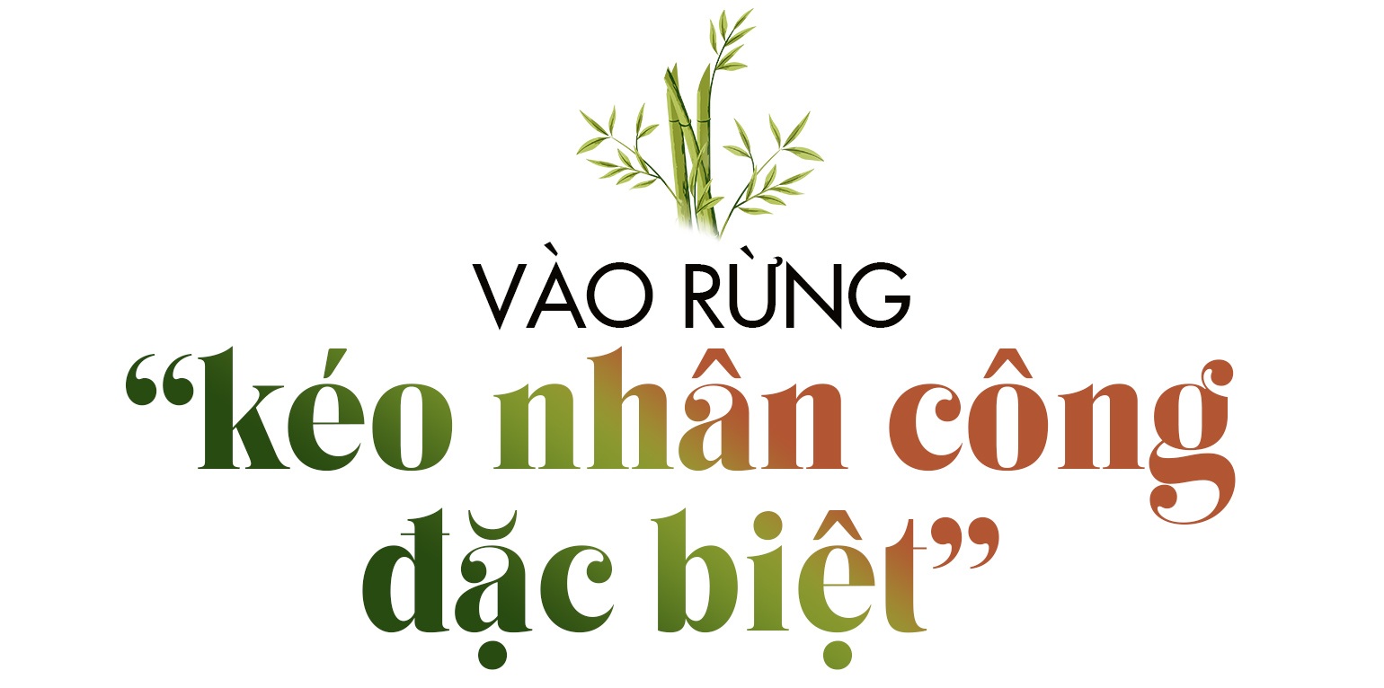 Biến cây khắc nhập, khắc xuất thành sản phẩm tiền triệu - 7 Biến cây khắc nhập, khắc xuất thành sản phẩm tiền triệu - 7