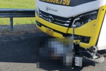 Bình Định: Xe máy va chạm ô tô khiến 2 vợ chồng tử vong