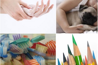 9 “ổ vi khuẩn” xung quanh ta