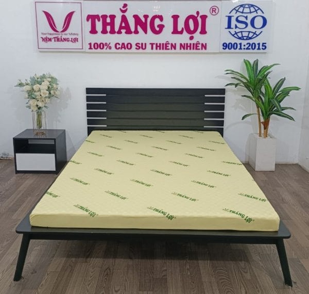 Top 3 nệm cao su non Thắng Lợi được ưa chuộng hiện nay - 1 Top 3 nệm cao su non Thắng Lợi được ưa chuộng hiện nay - 1