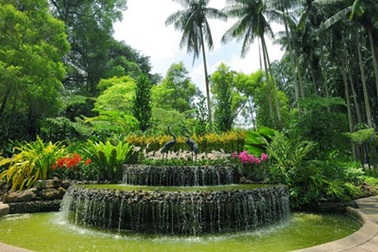 Vườn Bách thảo Singapore được Unesco vinh danh di sản thế giới