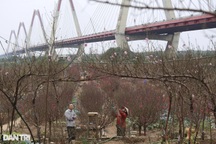 Bộ LĐ-TB&XH lý giải việc không quy định cứng phương án nghỉ Tết