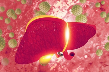 Ý nghĩa và thời điểm nên làm xét nghiệm men gan