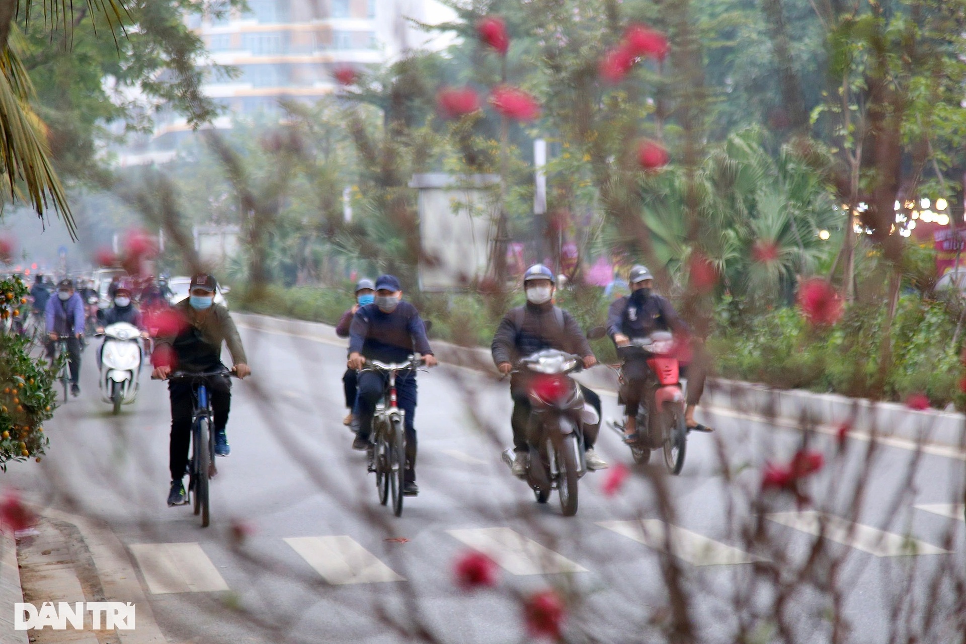 Không khí Tết tràn ngập tại chợ hoa đường Lạc Long Quân - 1