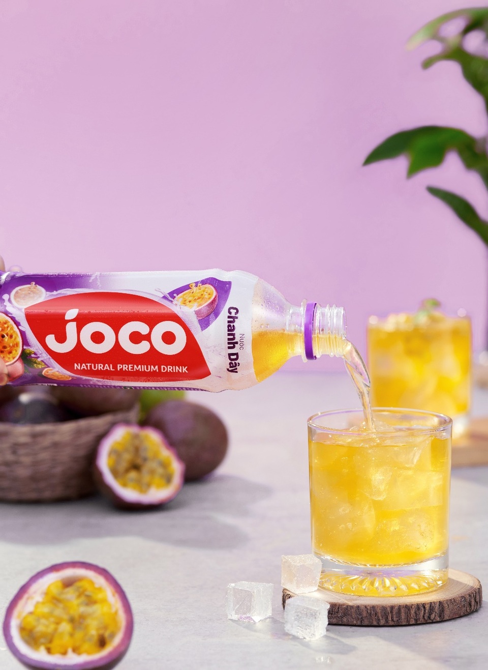 Tung JOCO, UNIBEN tự tin định nghĩa lại ngành hàng nước trái cây - 5 Tung JOCO, UNIBEN tự tin định nghĩa lại ngành hàng nước trái cây - 5
