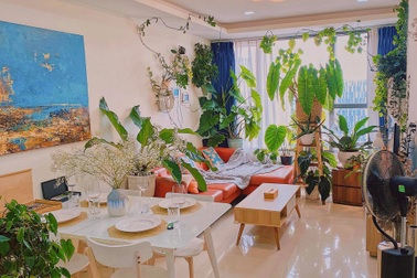 "Rừng cây thu nhỏ" trong ngôi nhà ngập tràn sắc xanh của chàng trai Sài Gòn