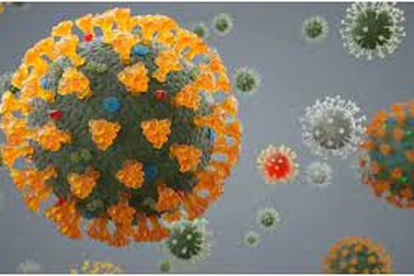 Những điểm giống và khác giữa biến thể Delta với Covid "thông thường"