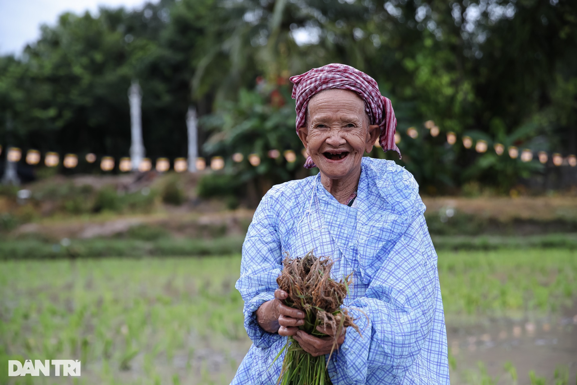 Sư thầy, người dân đội mưa cấy lúa mừng lễ Sene Dolta của đồng bào Khmer - 10 Sư thầy, người dân đội mưa cấy lúa mừng lễ Sene Dolta của đồng bào Khmer - 10