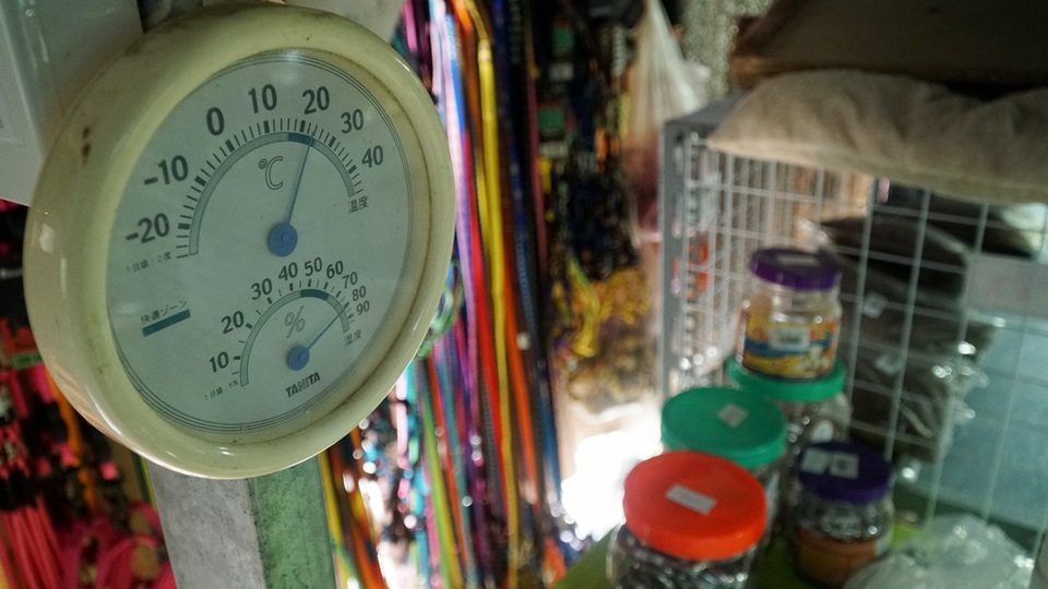 Dịch vụ trông thú cưng kiếm bội tiền cuối năm - 10 Dịch vụ trông thú cưng kiếm bội tiền cuối năm - 10