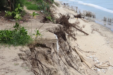 Bờ biển Hội An lại sạt lở, nhiều nhà hàng thấp thỏm lo