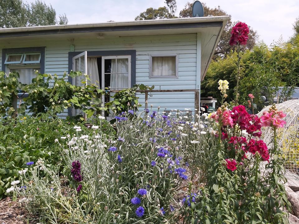 Chiêm ngưỡng khu vườn ngập rau xanh và cây trái của người đàn ông ở New Zealand - 2 Chiêm ngưỡng khu vườn ngập rau xanh và cây trái của người đàn ông ở New Zealand - 2