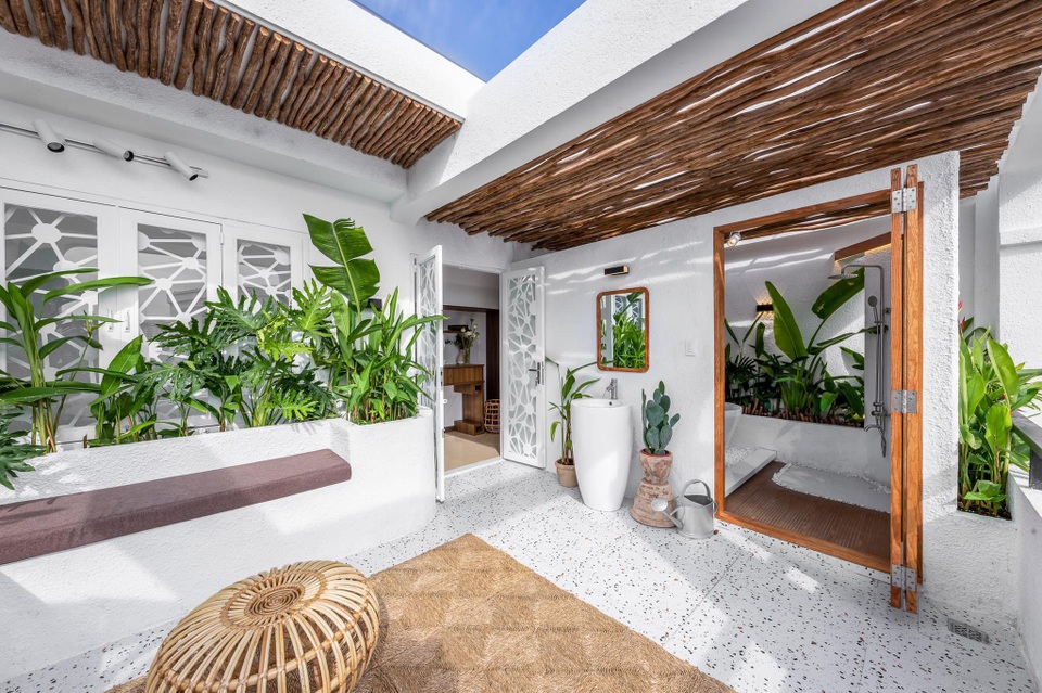 Chàng trai Sài Gòn chi 300 triệu đồng trang trí nhà bằng 50 loại cây độc lạ - 7 Chàng trai Sài Gòn chi 300 triệu đồng trang trí nhà bằng 50 loại cây độc lạ - 7