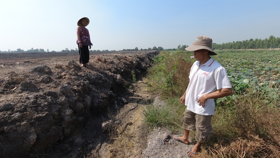 Ruộng lúa chết khô nghi do phèn từ hầm đất khai thác trái phép - 2 Ruộng lúa chết khô nghi do phèn từ hầm đất khai thác trái phép - 2