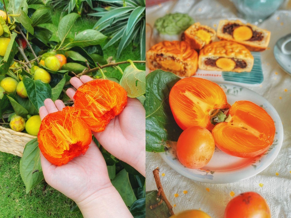 Vườn hồng trĩu quả giữa Đà Lạt của vợ chồng bỏ phố về núi - 9 Vườn hồng trĩu quả giữa Đà Lạt của vợ chồng bỏ phố về núi - 9