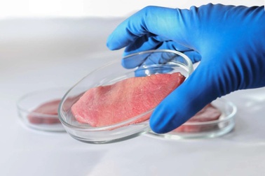 Kỳ lạ cây thuốc lá giúp sản xuất thịt nhân tạo ít tốn kém hơn