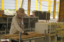 Chuyển biến tích cực trong phát triển kinh tế ở các huyện miền núi Thanh Hóa