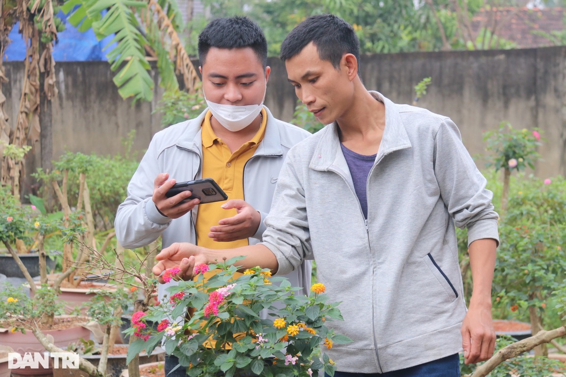 Bỏ việc về trồng hoa dại, vợ chồng trẻ bỏ túi hàng trăm triệu đồng - 2 Bỏ việc về trồng hoa dại, vợ chồng trẻ bỏ túi hàng trăm triệu đồng - 2