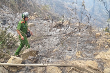 Đã dập tắt được vụ cháy rừng Nam Hải Vân