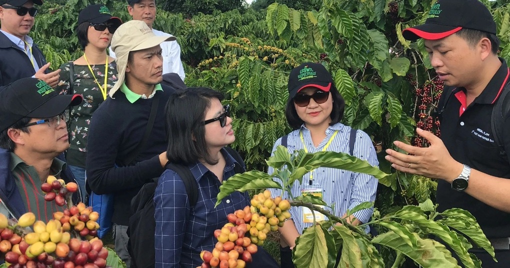 Một quốc gia chi số tiền gấp gần 35 lần để mua cà phê Việt - 1