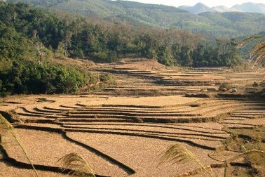Nét đẹp vùng biên những ngày giáp tết
