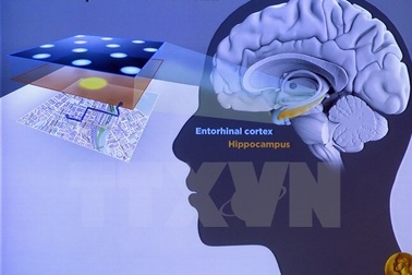 Phương pháp "nâng cấp" não bộ nhờ rèn luyện kỹ năng đọc