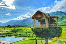 Cận cảnh những ngôi nhà “treo mình” trên cây, “độc” nhất Việt Nam