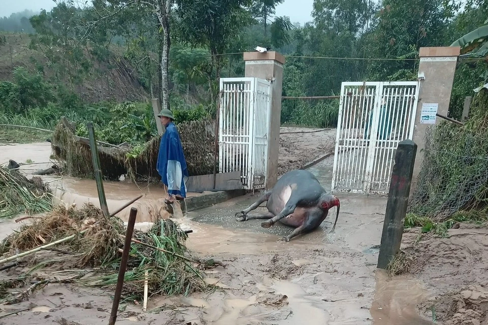 Hàng nghìn ngôi nhà ở Nghệ An bị ngập, nhiều thủy điện xả lũ - 2