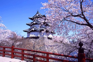 5 suất học bổng toàn phần tại Nhật Bản