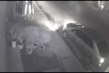 Choáng với thanh niên đi ô tô bê trộm chậu cây cảnh