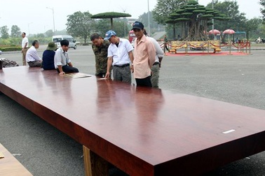 Dân Thủ đô đổ xô đi xem "mỹ nhân chân dài" tiền tỷ