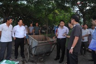 Hơn 10 tấn cá chết ở Hồ Tây