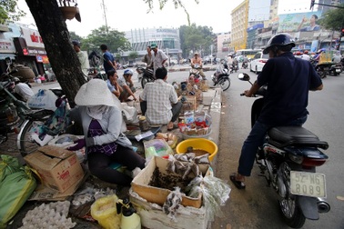 Chợ sâu bọ 20 năm tuổi ở Sài Gòn