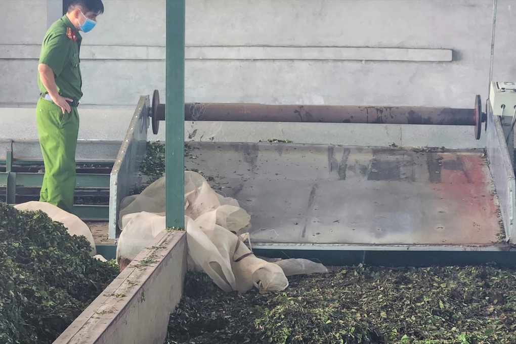 Nữ công nhân tử vong trong máy cuốn chè - 1 Nữ công nhân tử vong trong máy cuốn chè - 1