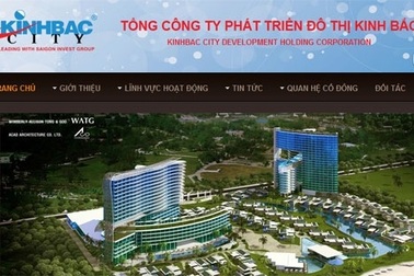 Công ty ông Đặng Thành Tâm vẫn lỗ dù doanh thu tăng 10 lần