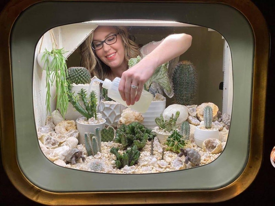 Cô gái biến tivi cũ kỹ thành khu vườn xương rồng độc đáo - 2