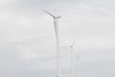 Về Bạc Liêu du lịch cùng... điện gió