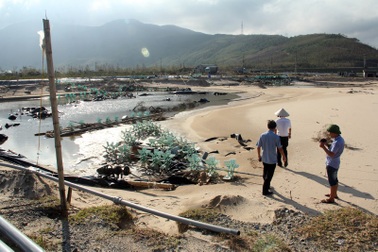 Doanh nghiệp nuôi tôm kêu cứu tỉnh: Kiến nghị của doanh nghiệp là chính đáng!