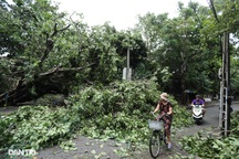 Cố đô Huế “chảy máu xanh” sau bão số 5