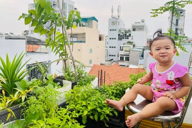 Vợ chồng tại TPHCM biến nóc nhà thành "siêu thị nông sản" ngập rau trái