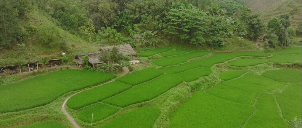 Chạm vào hạnh phúc: Bộ phim quảng bá du lịch Việt Nam ra thế giới - 5