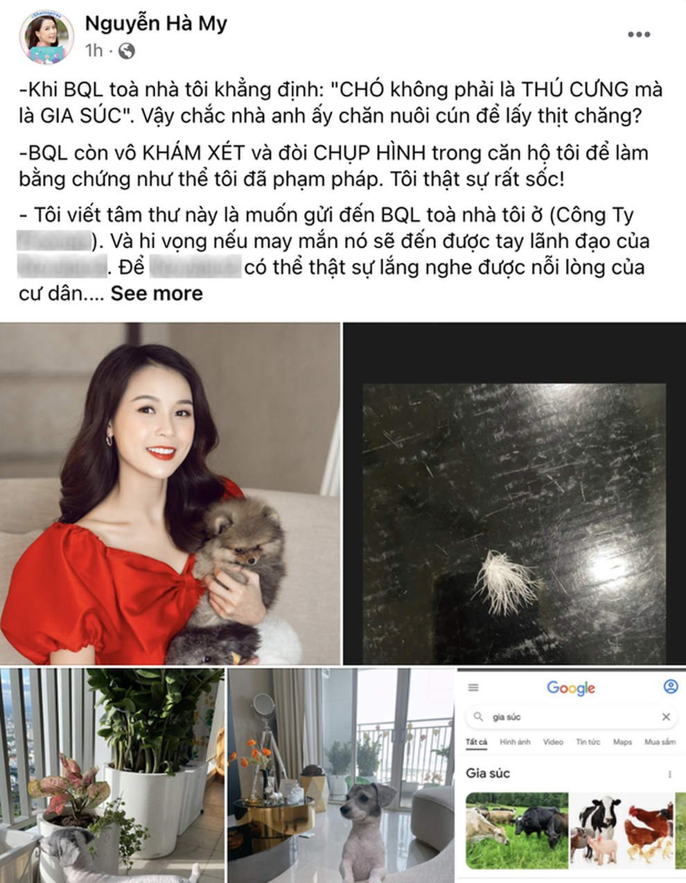 Nữ MC chuyển nhà vì 2 chú cún và chuyện không hồi kết thú cưng ở chung cư - 1 Nữ MC chuyển nhà vì 2 chú cún và chuyện không hồi kết thú cưng ở chung cư - 1