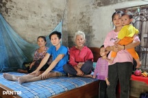 Con trai gặp nạn, mẹ bán cả đàn bò không đủ tiền cứu chữa