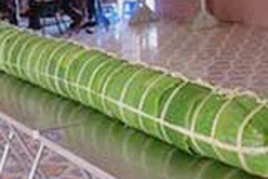 Nem chua khổng lồ dài 11 mét