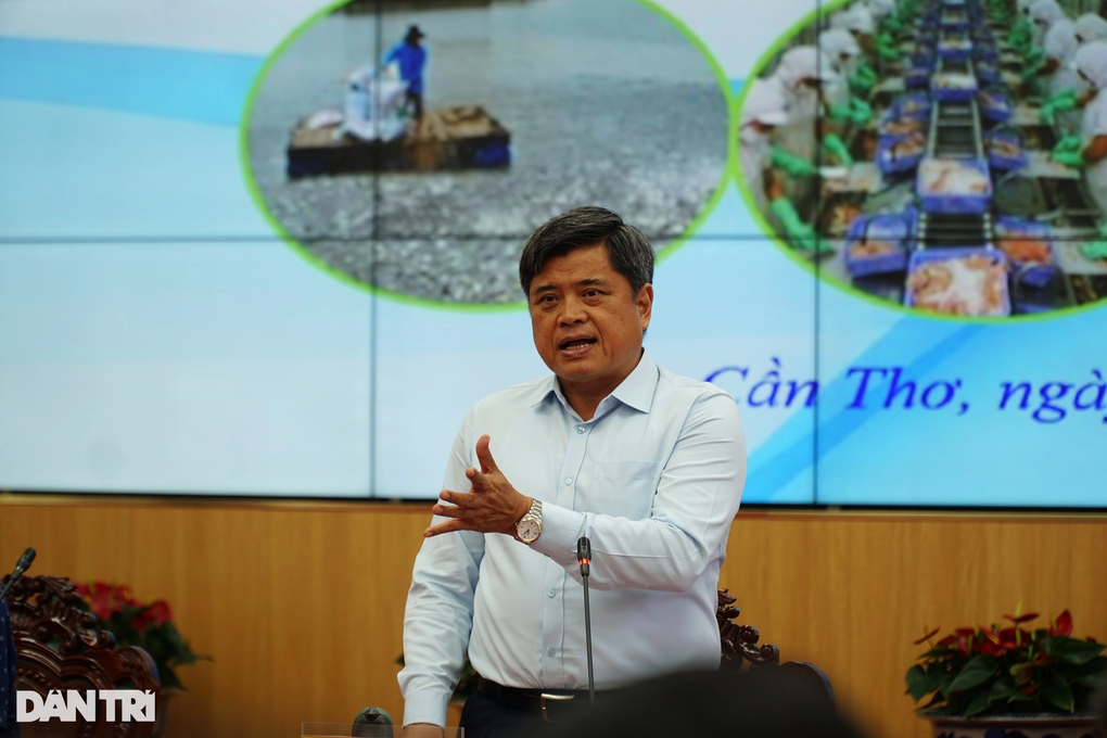 Nuôi 1kg cá tra tốn 28.000 đồng chi phí... chỉ bán được 26.000 đồng - 3