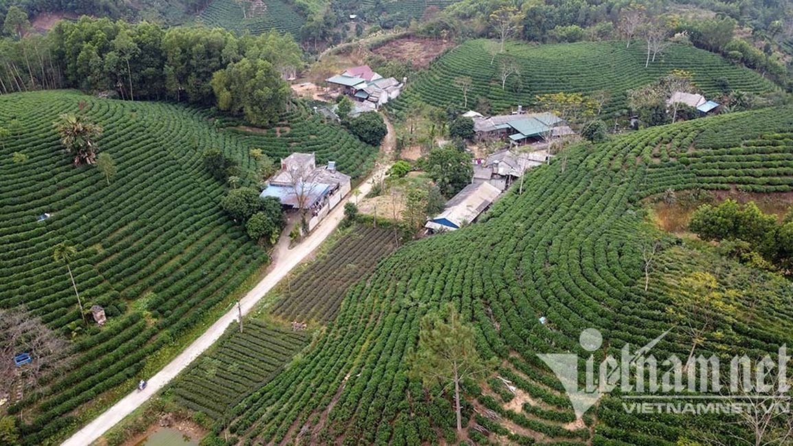 Cho chè ăn trứng gà, huyện ở Thái Nguyên chia nhau bọc tiền 1.200 tỷ - 2 Cho chè ăn trứng gà, huyện ở Thái Nguyên chia nhau bọc tiền 1.200 tỷ - 2