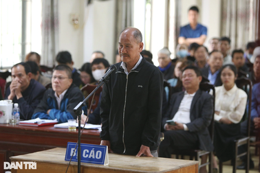 Phá rừng phòng hộ, bị cáo 61 tuổi lĩnh 4 năm tù, bồi thường 1,2 tỷ đồng