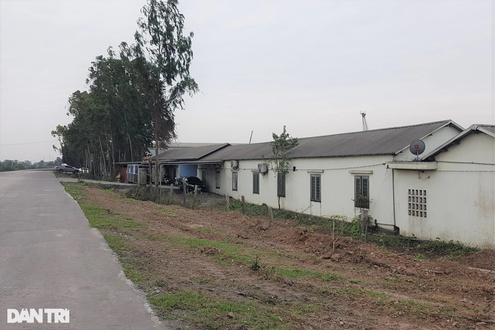 Ninh Bình: Doanh nghiệp, cá nhân đua nhau xâm chiếm hành lang bảo vệ đê - 1 Ninh Bình: Doanh nghiệp, cá nhân đua nhau xâm chiếm hành lang bảo vệ đê - 1