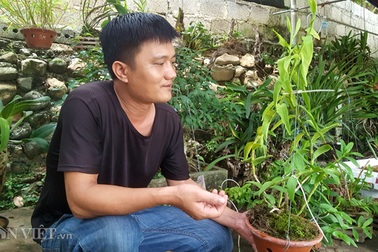 8X Lạng Sơn mê phong lan rừng: Kiếm trăm triệu từ 1 câu "nhỡ mồm"